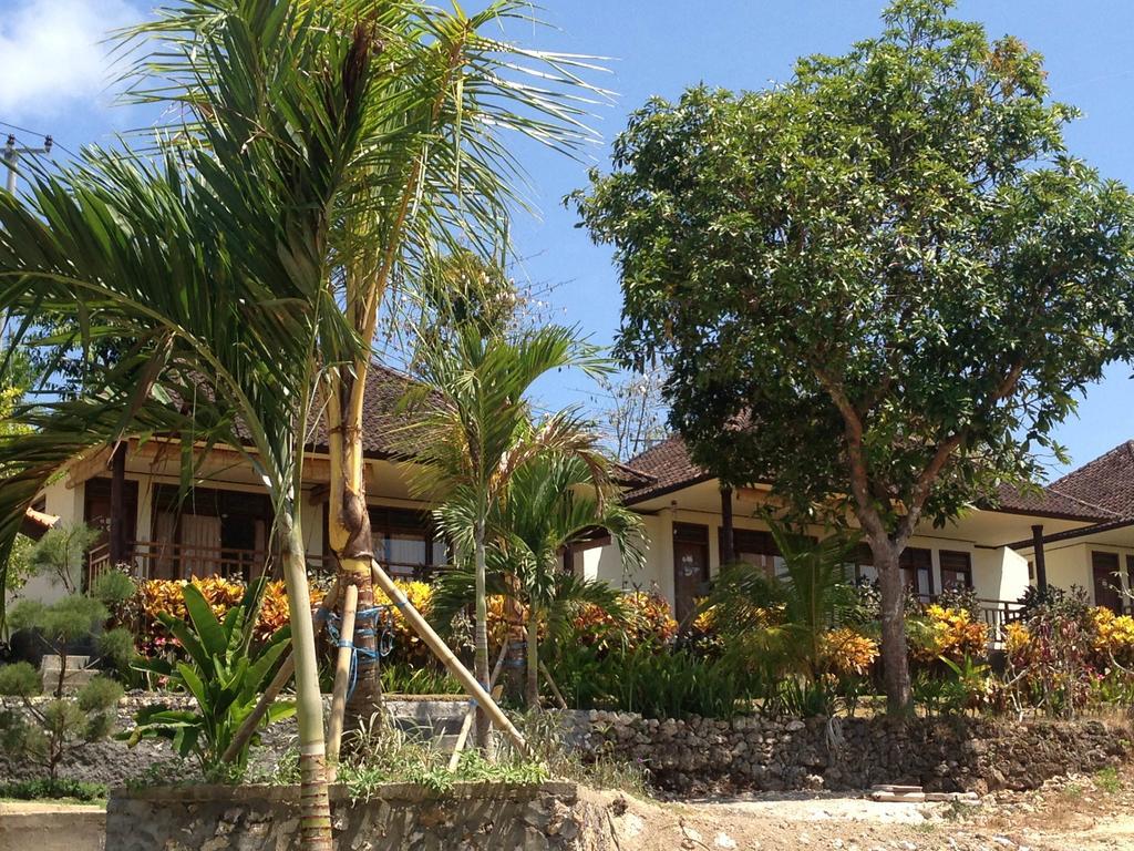 3D Homestay Пекату Экстерьер фото