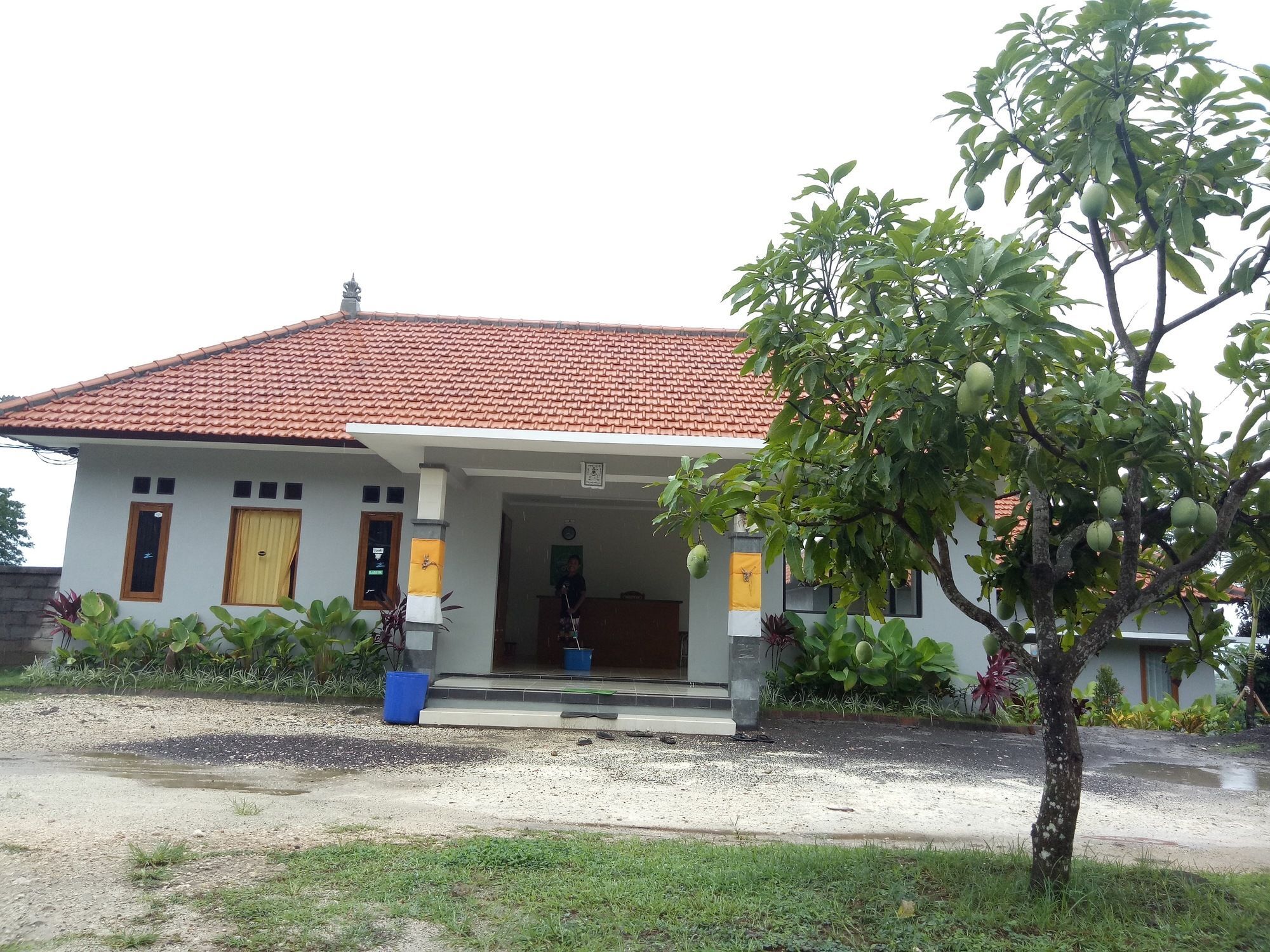 3D Homestay Пекату Экстерьер фото